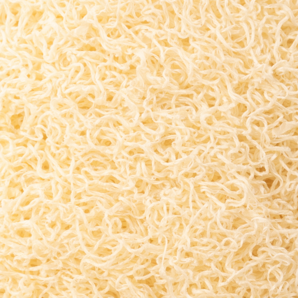 Éponge luffa pour le corps
